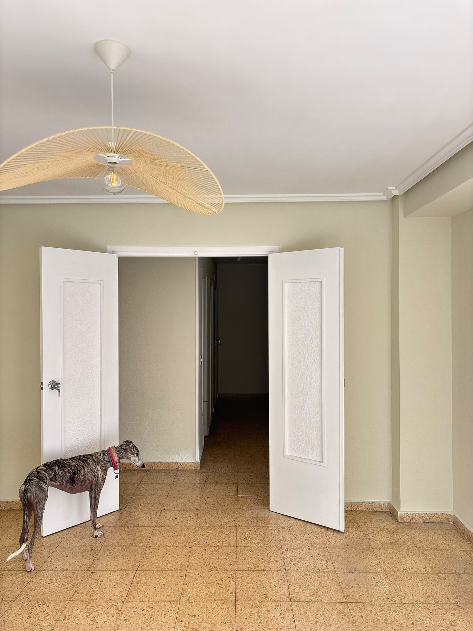 Salón de la vivienda, se admiten mascotas
